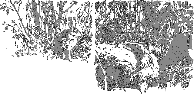 Рассказы о животных - i_007.png