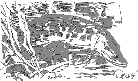 Рассказы о животных - i_015.png