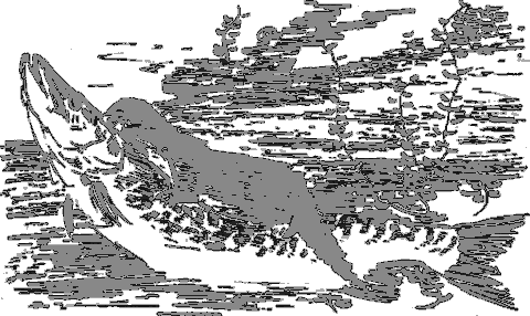 Рассказы о животных - i_021.png