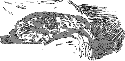 Рассказы о животных - i_026.png