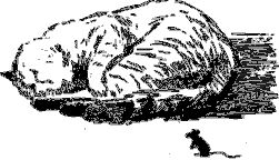 Рассказы о животных - i_027.png