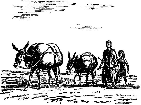 Глиняный конверт - i_017.png