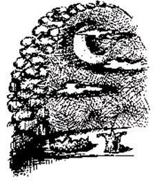 Часовой механизм, или Все заведено - i_013.jpg