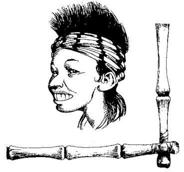 Дочь изобретателя фейерверков - i_008.jpg