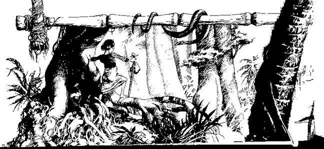 Дочь изобретателя фейерверков - i_013.jpg