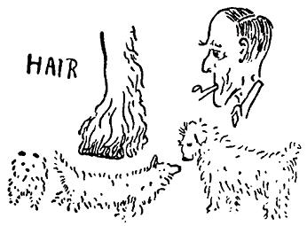 Рассказы северных ветров, или По пабам и паркам - pic_48.png