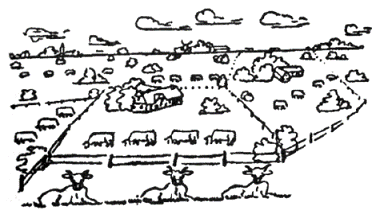 Рассказы северных ветров, или По пабам и паркам - pic_64.png