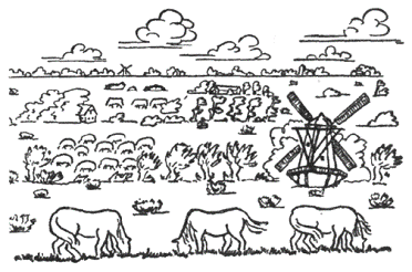 Рассказы северных ветров, или По пабам и паркам - pic_67.png