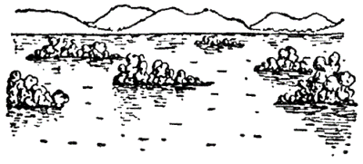 Рассказы северных ветров, или По пабам и паркам - pic_76.png