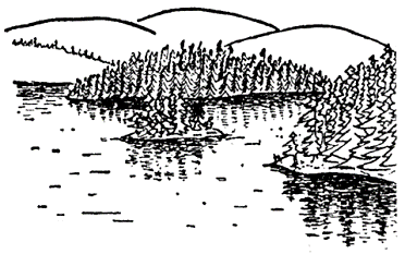 Рассказы северных ветров, или По пабам и паркам - pic_77.png