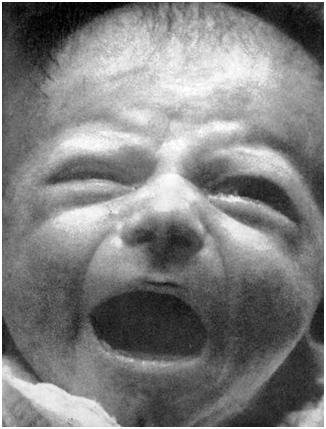 Черная шкатулка - i_001.jpg