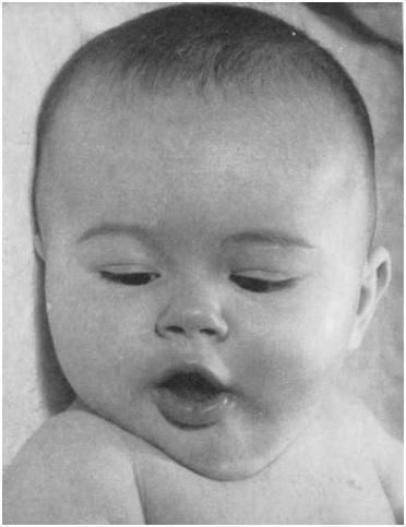 Черная шкатулка - i_002.jpg