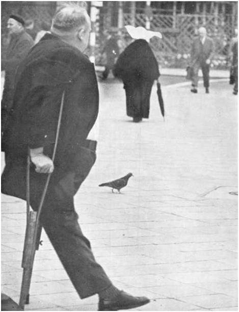 Черная шкатулка - i_016.jpg