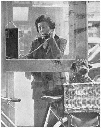 Черная шкатулка - i_048.jpg