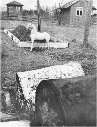 Черная шкатулка - i_060.jpg