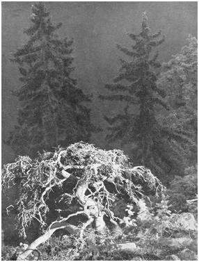 Черная шкатулка - i_074.jpg