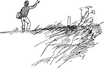 Автостопом на север - i_009.png