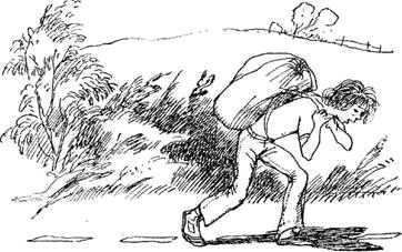 Автостопом на север - i_018.png