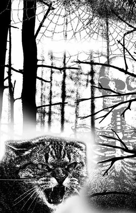 Еще жива - i_004.jpg