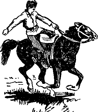 Петька Дёров(изд.1959) - i_020.png