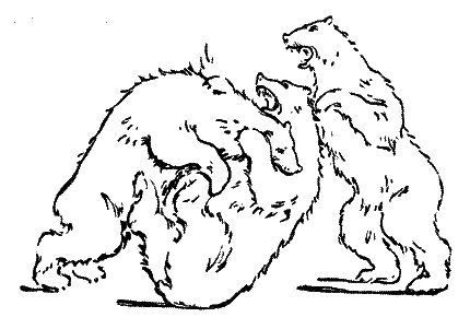 20 000 років під кригою - i_010.png