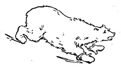 20 000 років під кригою - i_011.png