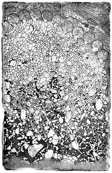 Обреченное королевство - i_007.jpg