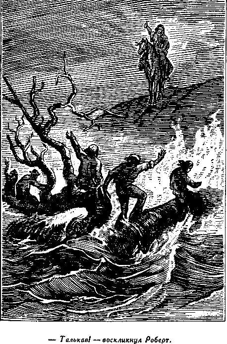 Дети капитана Гранта(изд.1955) - i_025.png