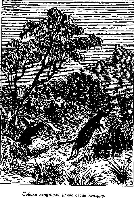 Дети капитана Гранта(изд.1955) - i_043.png