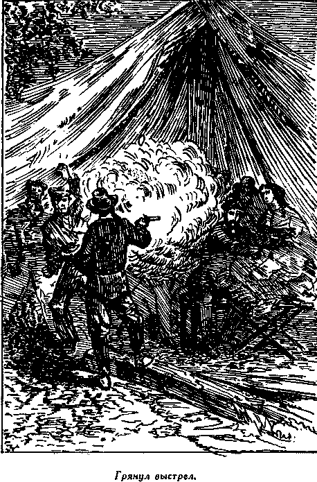 Дети капитана Гранта(изд.1955) - i_045.png