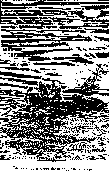 Дети капитана Гранта(изд.1955) - i_053.png