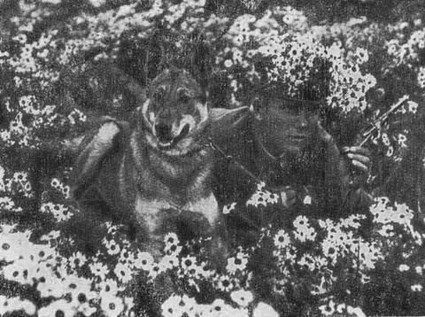 Пограничники - i_005.jpg