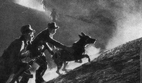 Пограничники - i_058.jpg