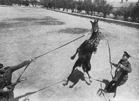 Пограничники - i_069.jpg