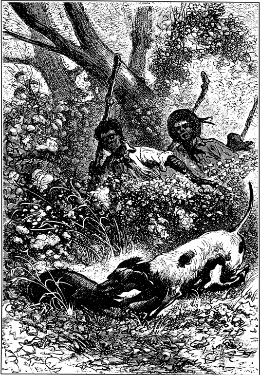 Таинственный остров(изд.1980) - i_016.png