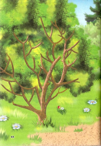 Пропавшие буквы, или Алёша Попов в Муми-доле - i_017.jpg