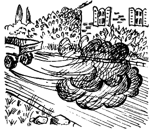 Кошки и шпионы - i_017.png