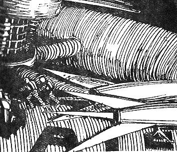 Магелланово Облако - _21.jpg