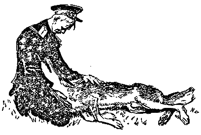 Карай. Сын Карая - Karai22m.png