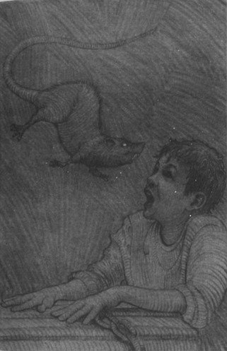 Питер Пэн и Ловцы звёзд - pic05.jpg