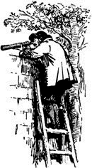 Черный тюльпан(изд.1955) - image010.png