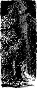 Черный тюльпан(изд.1955) - image013.png