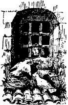 Черный тюльпан(изд.1955) - image018.png