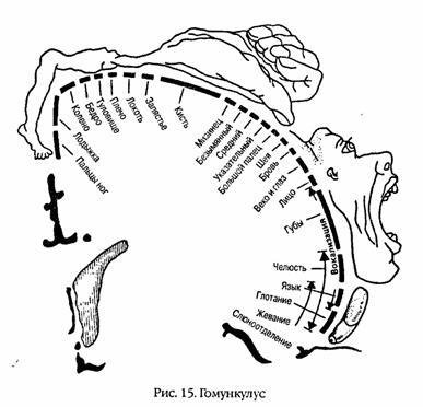 Учимся читать быстро - i_017.jpg