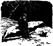 Шпага д’Артаньяна - i_015.png