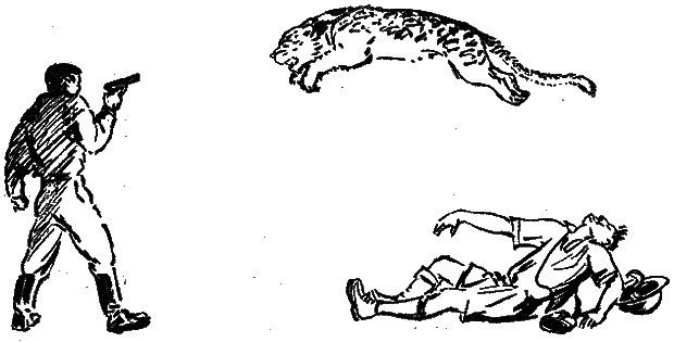 Тайна Гремящей расщелины(изд.1962) - _14.png