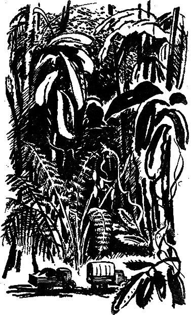 Тайна Гремящей расщелины(изд.1962) - _23.png