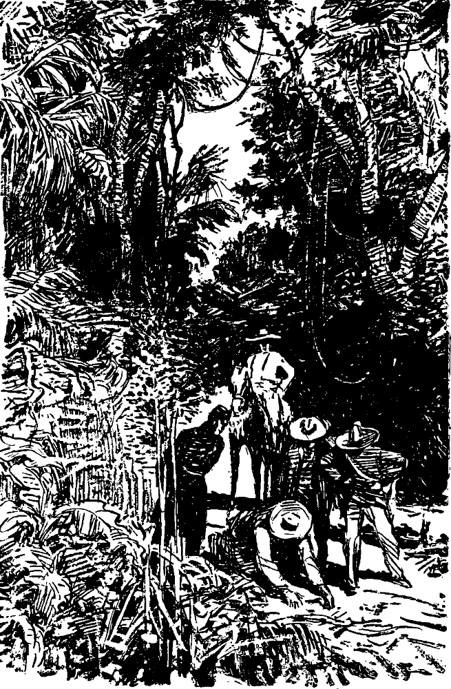 Всадник без головы(изд.1955) - image013.png