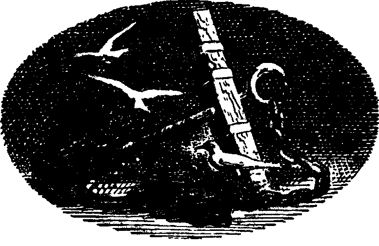 Морской волчонок(изд.1990) - image026.png