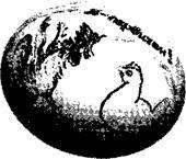 Не только депрессия: охота за настроением - i_037.jpg